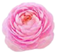 RSlGM5aUZfYB (121x116, 24Kb)